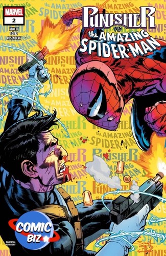 Punisher spider man 2 - punisher, spider-man