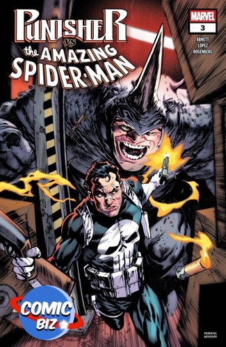 Punisher spider man - punisher, spider-man